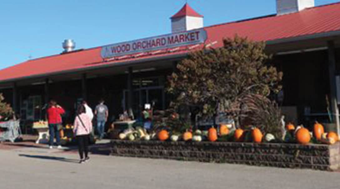 wood orchard