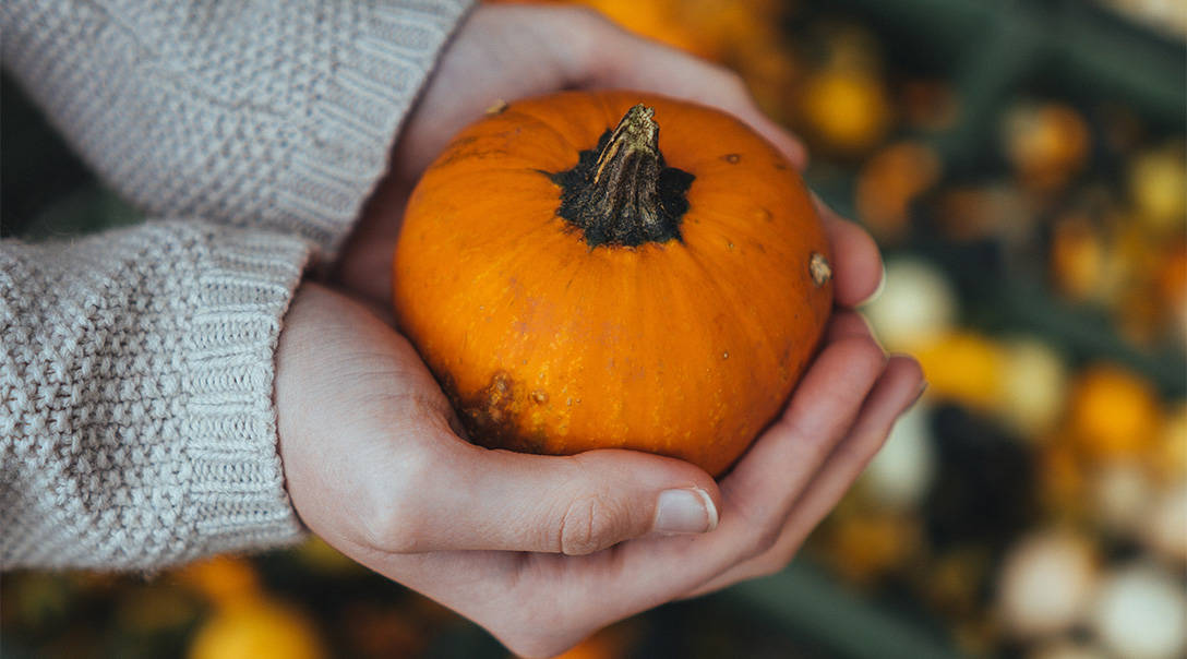 Now That You’re an Expert…Come Pick a Pumpkin (or Two) in Sturgeon Bay!