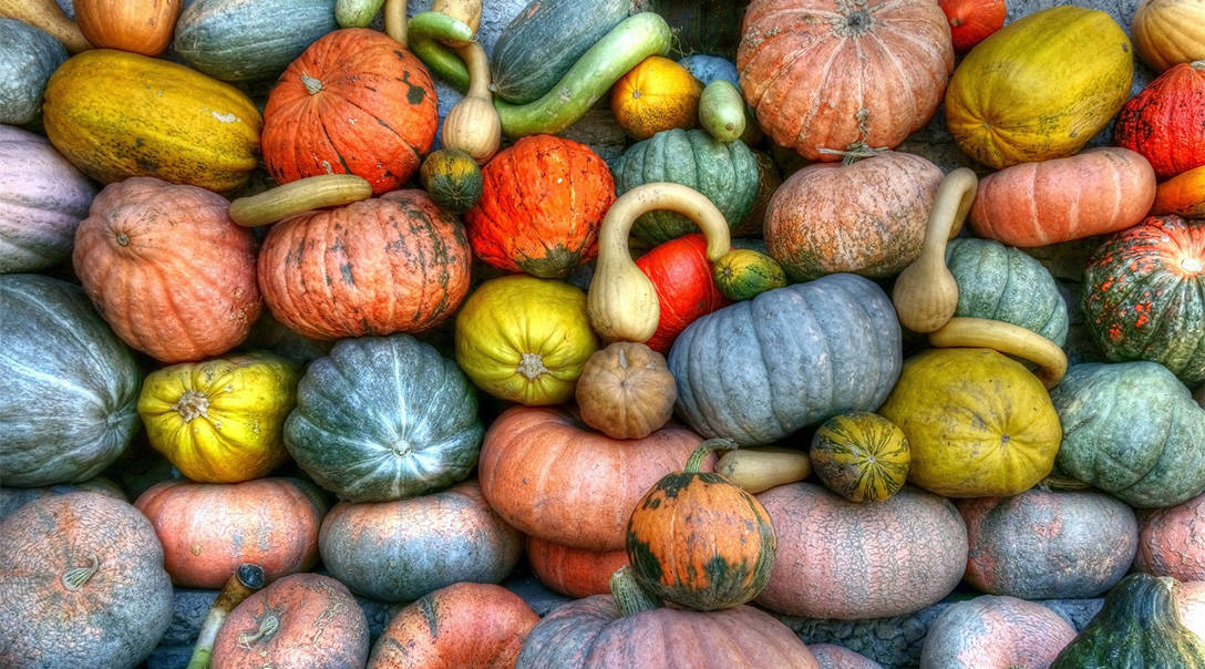Types of pumpkins
